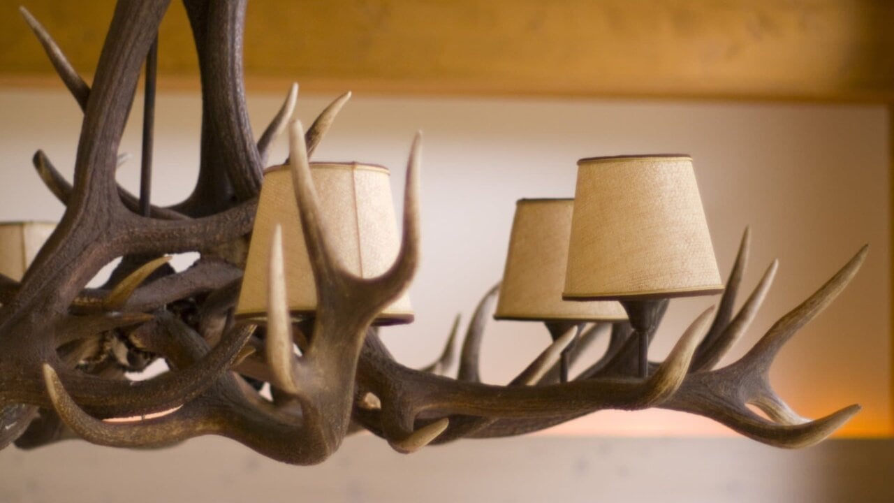 Kronleuchter aus Geweih mit Lampenschirmen.