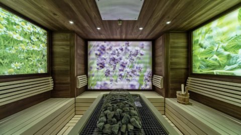 Moderne Sauna mit Pflanzenbildern an den Wänden.