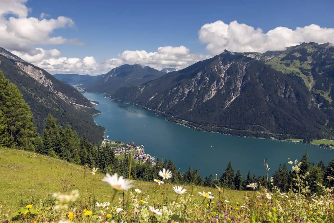 Berglandschaft mit See und Blumenwiese