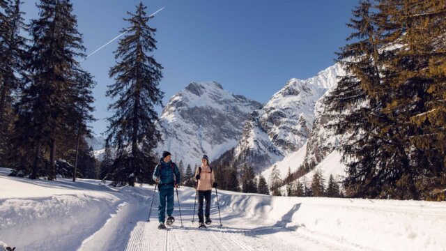 Winter Holidays