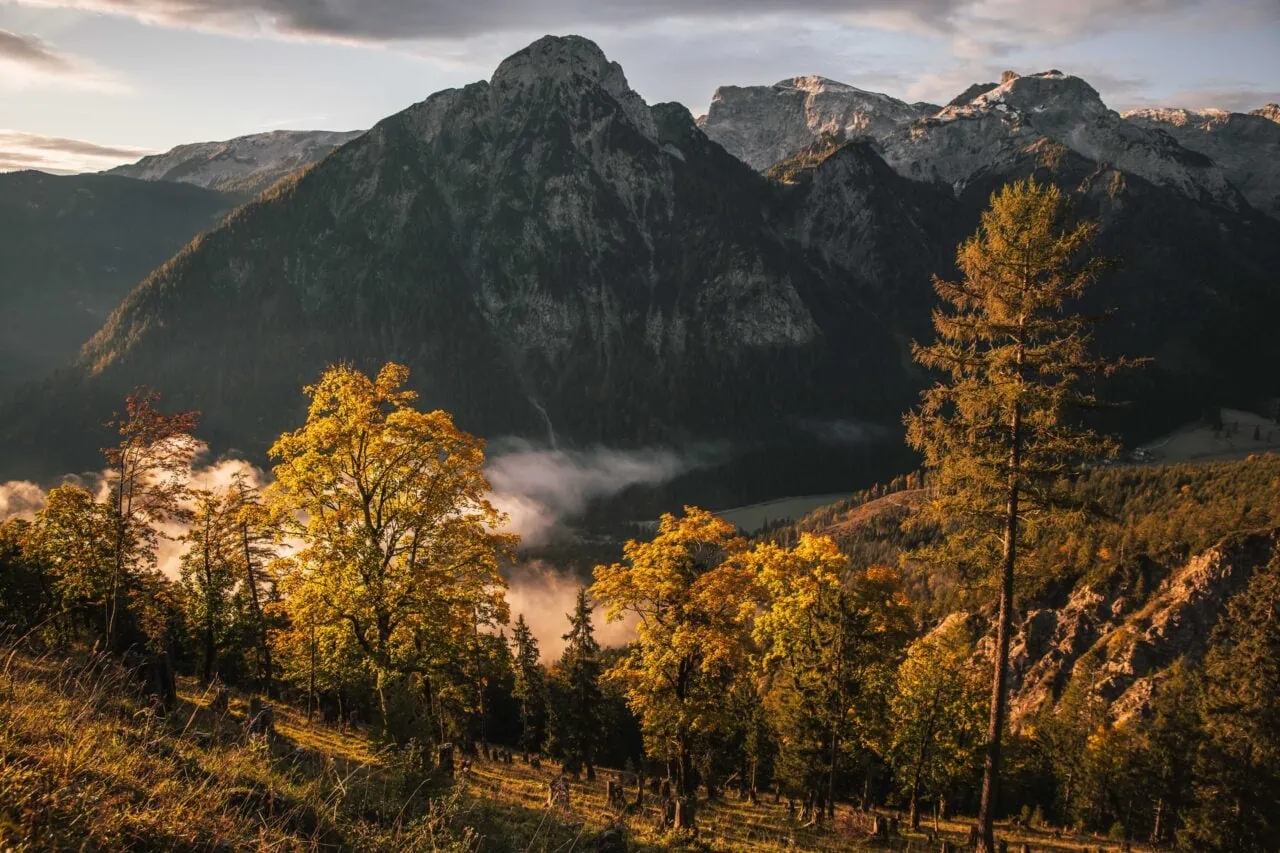 Herbstliche Berglandschaft mit Bäumen und Nebel