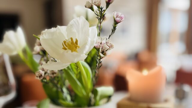 Weiße Blume in einer Vase mit Kerze
