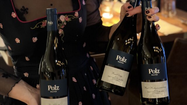 Flaschen Wein in eleganter Umgebung präsentieren.